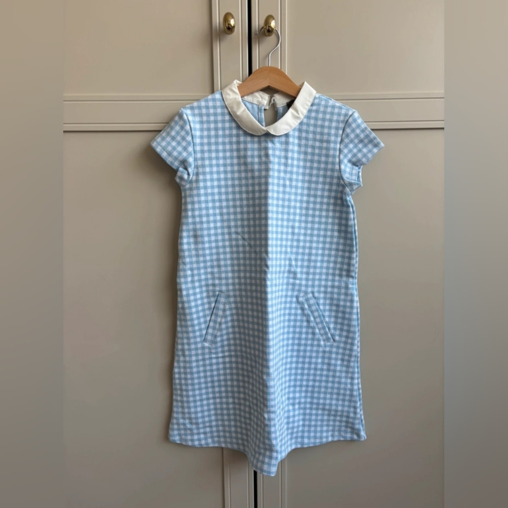 Blue Gingham Dress with White Collar